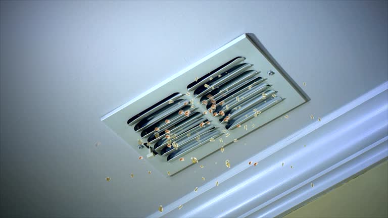 Best Air Duct Cleaning Company Near Me  in Ramsey, MN